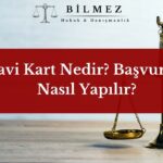 Mavi Kart Nedir? Başvurusu Nasıl Yapılır?